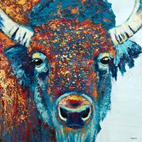 Bison Sunrise Fine Art Print