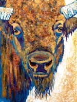 Mama Bison Fine Art Print