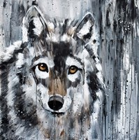 Golden Eye Wolf Fine Art Print