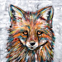 Fox of Many Colors Fine Art Print