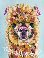 Daisy Alpaca Fine Art Print