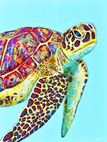 Sea Turtle Fine Art Print