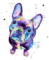 Dark Frenchie Fine Art Print