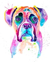 Colorful Boxer Fine Art Print