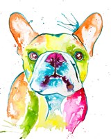 Colorful Frenchie Fine Art Print