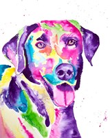 Colorful Black Lab Fine Art Print