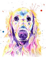 Aurora Golden Retriever Fine Art Print