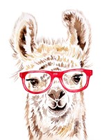 Llama in Glasses Fine Art Print