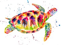 Sea Turtle Fine Art Print