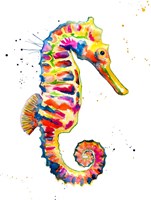 Sea Horse Fine Art Print