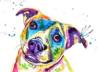 Australian Cattle Dog Fine Art Print