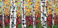 Aspens in Color Fine Art Print