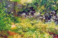 Garden Corner Fine Art Print