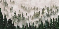 Misty Forest Fine Art Print