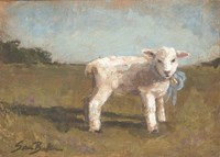 Little Lamb III Fine Art Print