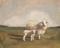 Sheep in the Pasture II Fine Art Print