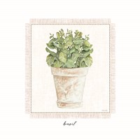 Fresh Basil Fine Art Print