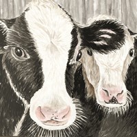 Farm Cows Fine Art Print