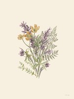 Botanical Mix II Framed Print