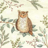 Woodland Animals Owl Framed Print