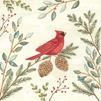 Woodland Animals Cardinals Fine Art Print