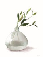 Lily Stem Vase Fine Art Print