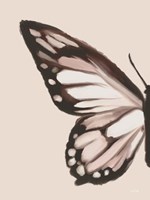 Butterfly Wings I Fine Art Print