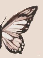 Butterfly Wings II Framed Print
