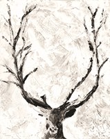 Off Kilter Fine Art Print