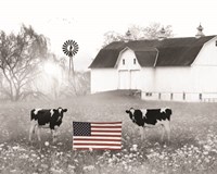 Patriotic Cows Fine Art Print