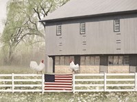 Patriotic Roosters Fine Art Print