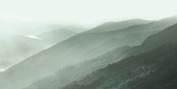 Newfound Gap in Green Fine Art Print