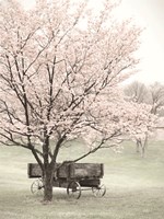 Country Wagon Fine Art Print