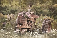 Country Garden Tractor Fine Art Print