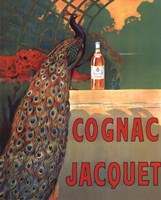 Cognac Jacquet by Leonetto Cappiello - various sizes