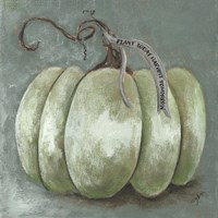 Pumpkin Study Fine Art Print