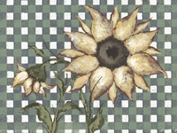 Plaid Sunflowers Fine Art Print