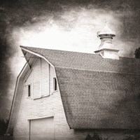 McDonald Farm Rustic I Fine Art Print