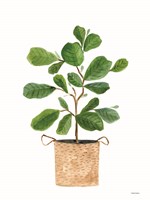 Basket Planter 3 Fine Art Print