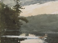 Deer in the Adirondack Fine Art Print