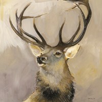 Elk Study 1 Fine Art Print