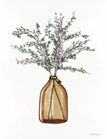 Honeybloom Blossoms Fine Art Print