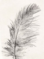 Feather 1 Light Fine Art Print