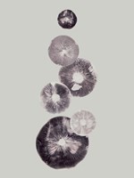 Mushroom Light Grey Fine Art Print