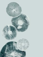 Mushroom Light Teal Fine Art Print