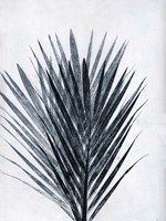 Palm 2 Grey Fine Art Print