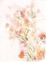 Vicia 2 Multi Fine Art Print