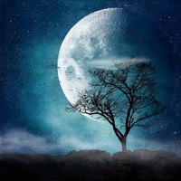 Moon Blues Fine Art Print