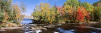Trees Near A River, Bog River, New York State Fine Art Print
