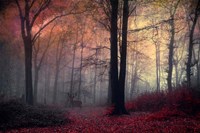 Forest Dream Fine Art Print